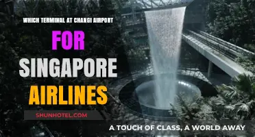 Navigating Changi: Singapore Airlines' Terminal Guide