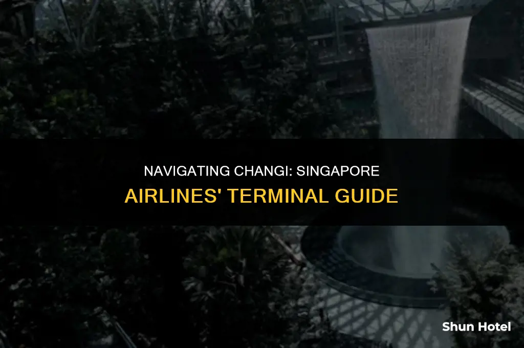 which terminal at changi airport for singapore airlines