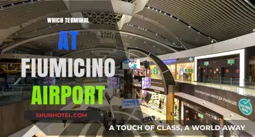 Navigating Fiumicino Airport: Your Guide to Choosing the Right Terminal