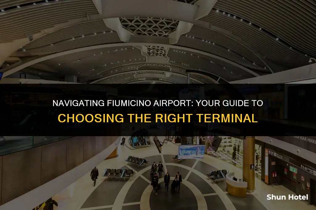 which terminal at fiumicino airport