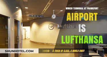 Navigating Frankfurt Airport: Which Terminal is Lufthansa?