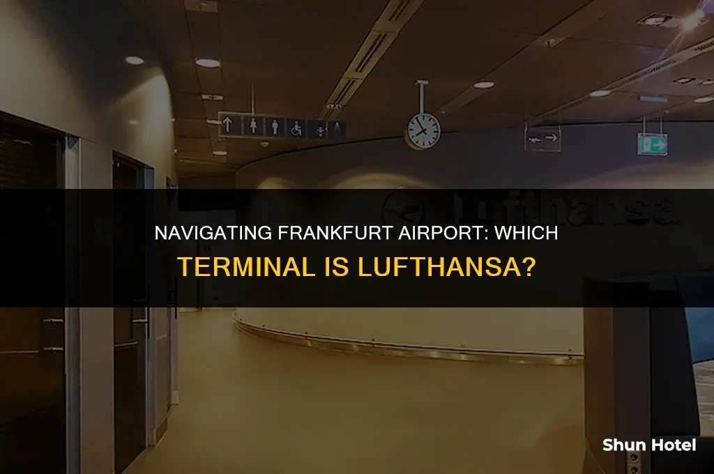 which terminal at frankfurt airport is lufthansa