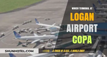 Copa Airlines at Logan Airport: Your Guide to Terminal E