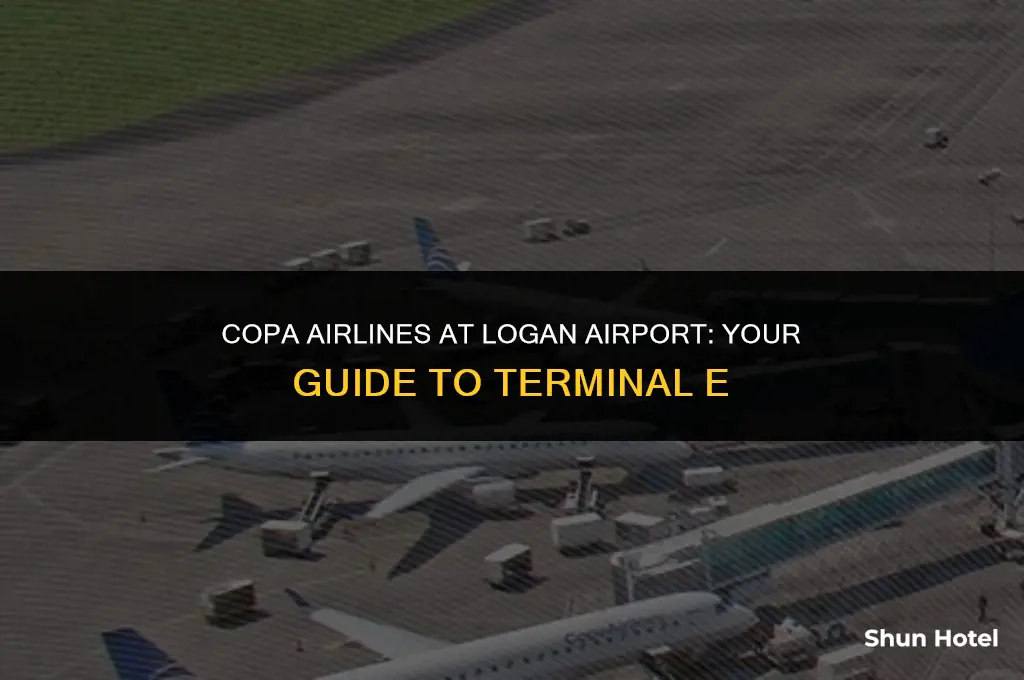 which terminal at logan airport copa