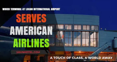 American Airlines Terminal Guide: Navigating Logan International Airport