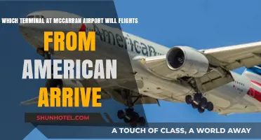 Where Will Your American Airlines Flight Land at McCarran?