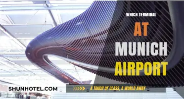Navigating Munich Airport: Your Guide to Terminals and Connections