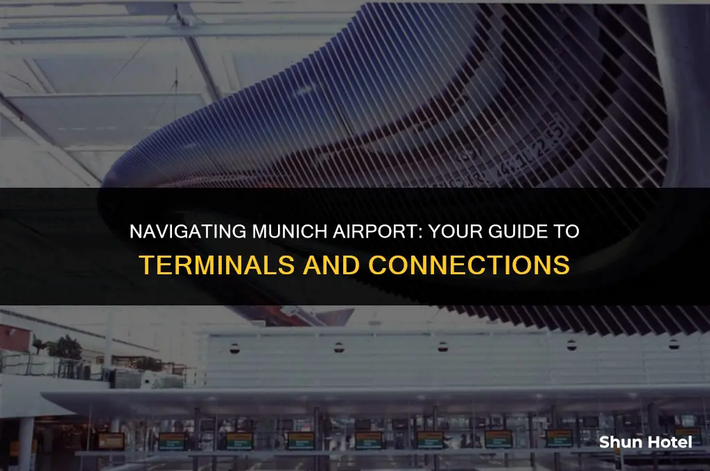 which terminal at munich airport
