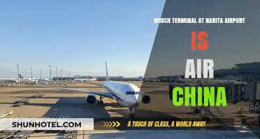 Exploring Narita: A Guide to Air China's Terminal