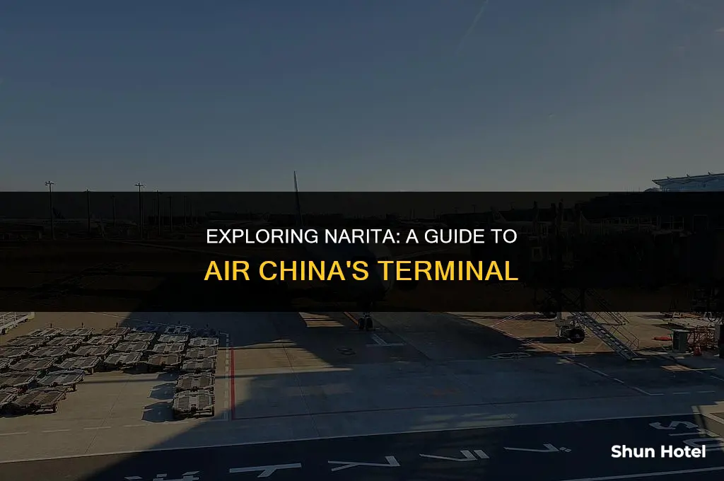 which terminal at narita airport is air china