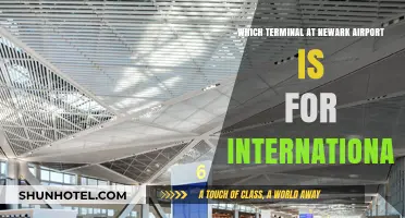 Navigating Newark Airport: Identifying the International Terminal for Travelers