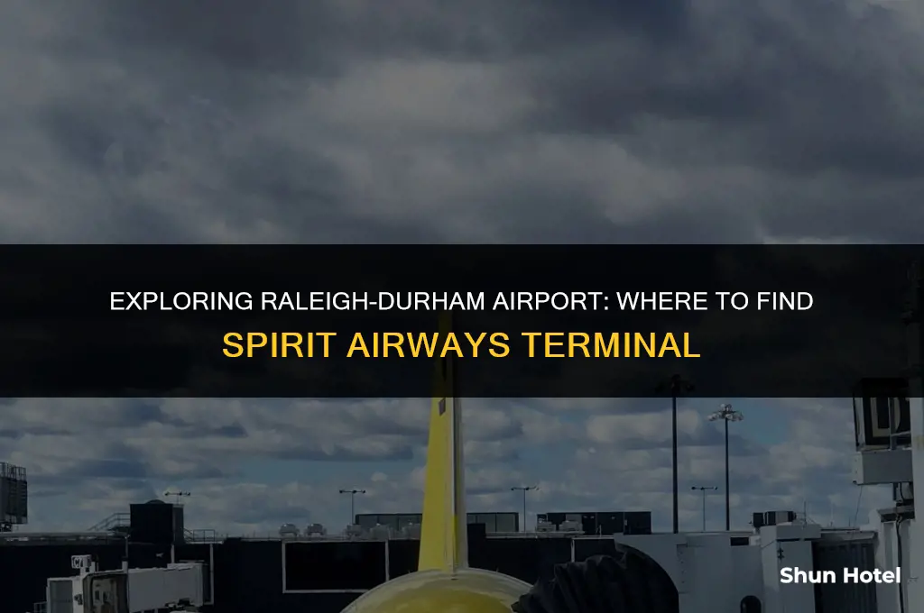 which terminal at raleigh-durham airport has spirit airways