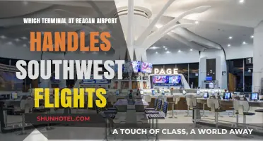 Navigating Reagan Airport: Where to Find Southwest Flights
