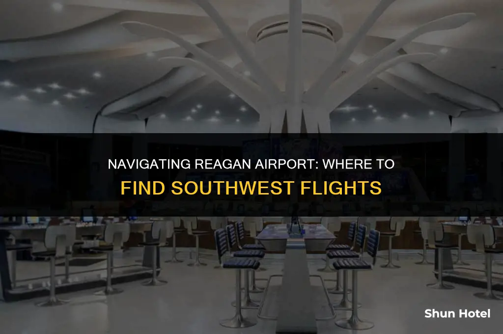 which terminal at reagan airport handles southwest flights