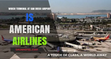 Exploring San Diego Airport: Where to Find American Airlines Terminal