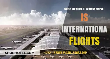 Taoyuan Airport International Flights: Which Terminal to Use?