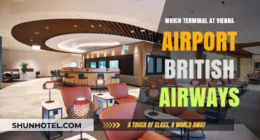 Navigating Vienna Airport: Your Guide to British Airways Terminal