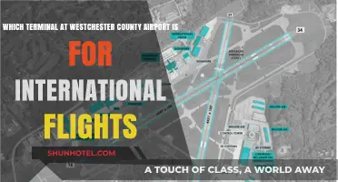 Westchester County Airport International Terminal Guide: Where to Go