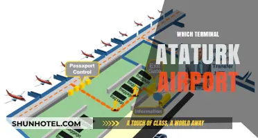 Navigating Ataturk Airport: Your Guide to Terminal Selection