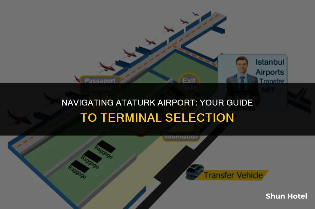 which terminal ataturk airport
