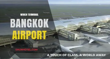 Navigating Bangkok Airport: A Guide to Terminal Selection
