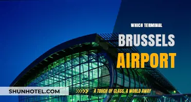Navigating Brussels Airport: A Guide to Its Terminals