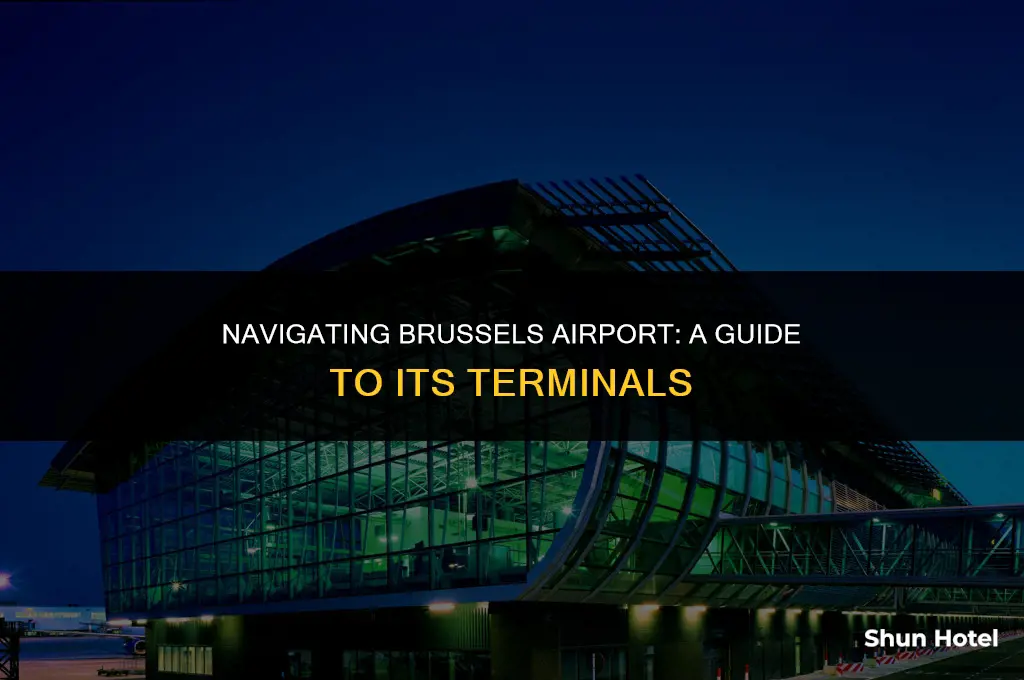 which terminal brussels airport