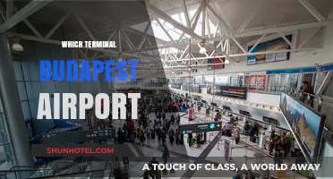 Navigating Budapest Airport: Your Guide to the Right Terminal