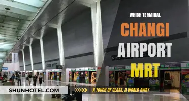 Navigating Changi Airport MRT: Your Ultimate Terminal Guide
