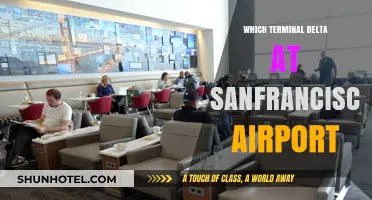 Exploring San Francisco Airport: Your Guide to Terminal Delta