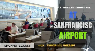 Navigating Delta International Terminal at San Francisco Airport: A Quick Guide
