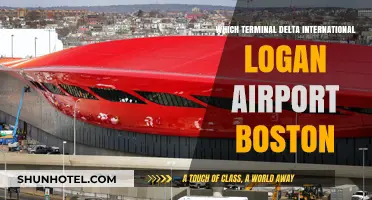 Delta International Flights at Logan Airport Boston: Terminal Guide