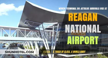 JetBlue Arrivals at Reagan National: Your Guide to Terminal Navigation