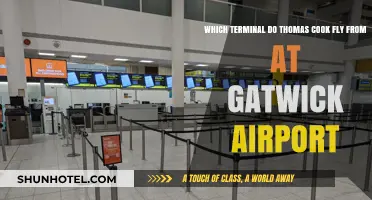 Thomas Cook's Gatwick Terminal: A Quick Guide for Travelers