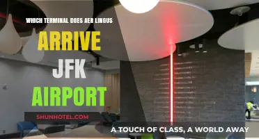 Aer Lingus Arrival Terminal at JFK: A Comprehensive Guide