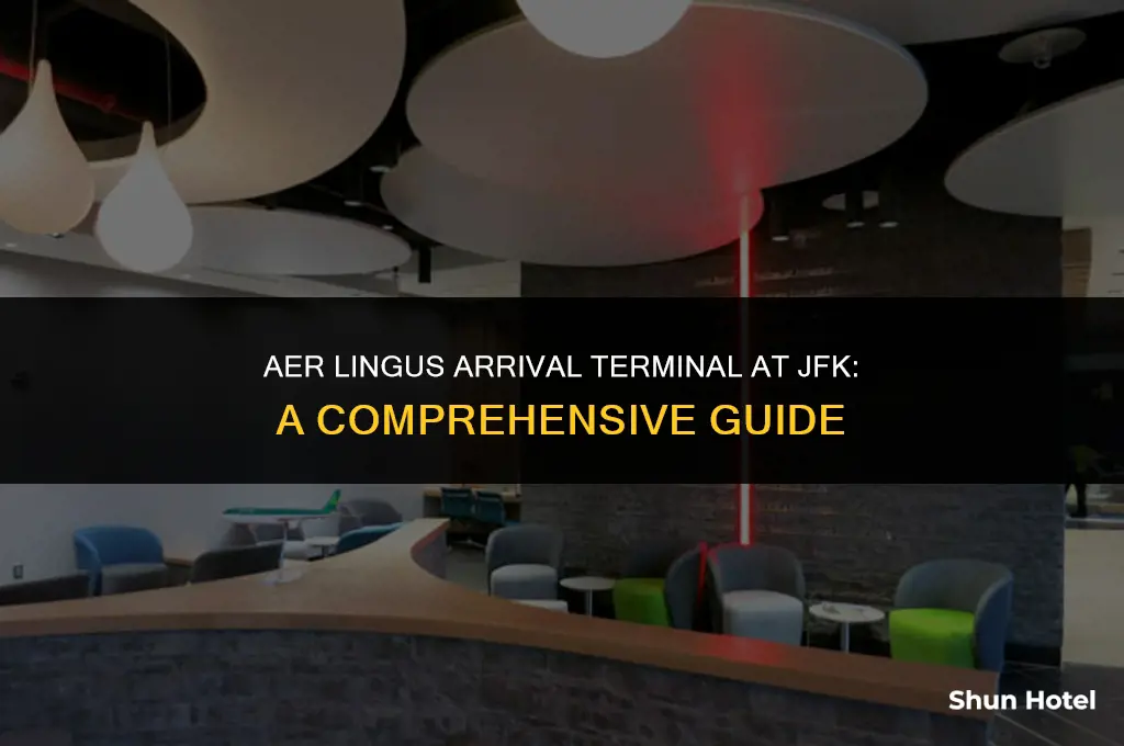 which terminal does aer lingus arrive jfk airport