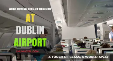 Aer Lingus' Dublin Airport Terminal: Your Complete Guide
