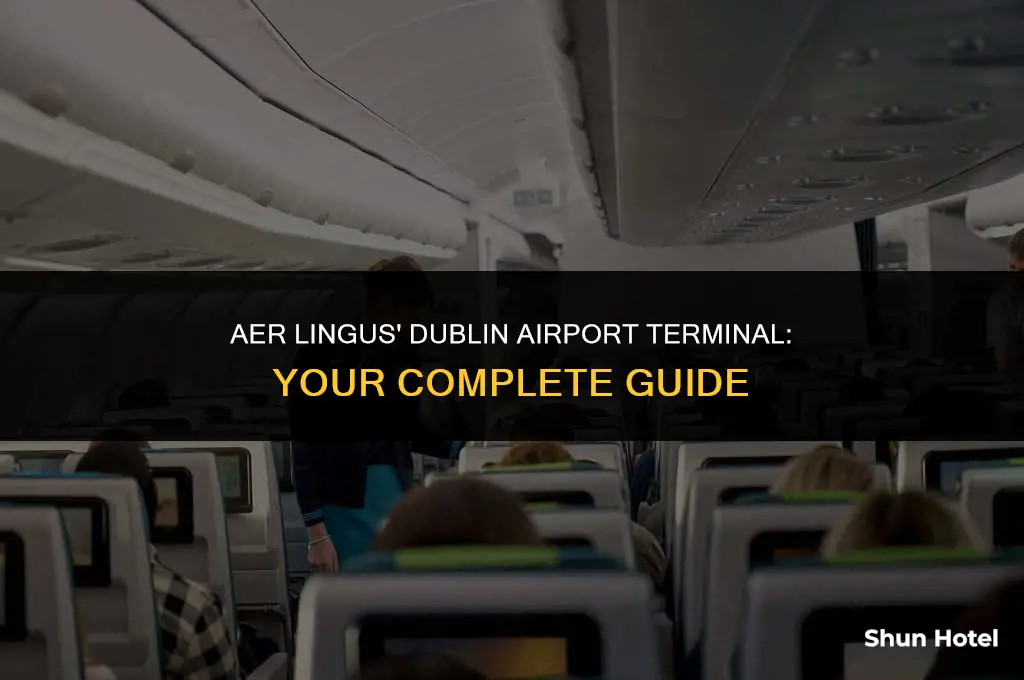 which terminal does aer lingus use at dublin airport