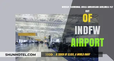 American Airlines Terminal Guide: Navigating INDFW Airport Departures