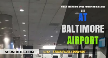 Exploring Baltimore Airport: American Airlines' Terminal Guide