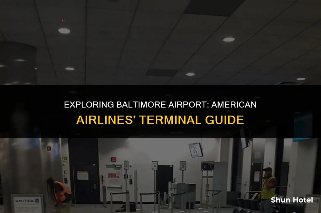 which terminal does american airlines use at baltimore airport