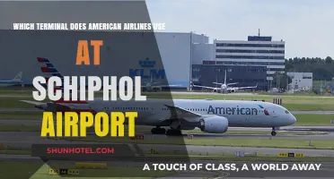 Exploring Schiphol: American Airlines' Preferred Terminal Revealed