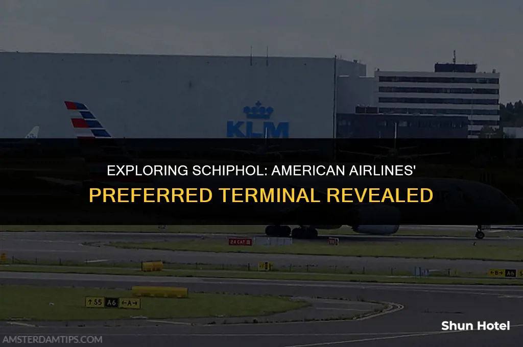 which terminal does american airlines use at schiphol airport