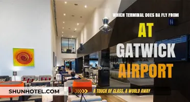 British Airways Gatwick Terminal Guide: Which Terminal Does BA Use?