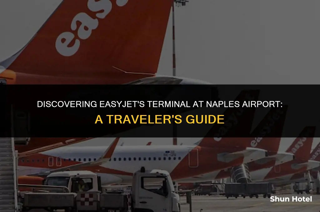 which terminal does easyjet use at naples airport