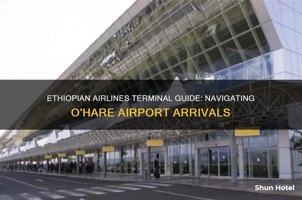 which terminal does ethiopian airline fly into o