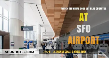 JetBlue's SFO Terminal: Your Complete Guide to Navigating the Airport