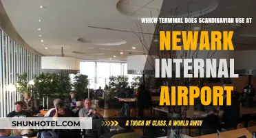 Scandinavian Airlines Terminal Guide: Navigating Newark International Airport