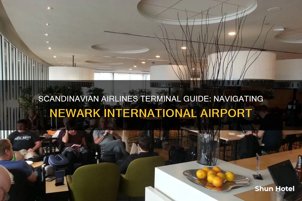 which terminal does scandinavian use at newark internal airport