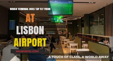 TAP Air Portugal's Lisbon Airport Terminal Guide: Where to Fly